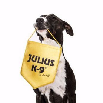 Kép a gyártónak Julius-K9®
