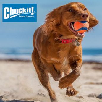 Kép a gyártónak Chuckit!®