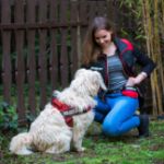 Kép Julius-K9® Univerzális oldaltáska nagy 1 db (L-2XL kutyahám méretekhez)