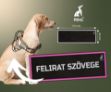P24S egyedi tépőzáras felirat kutyahámra 110x30mm pink kerettel