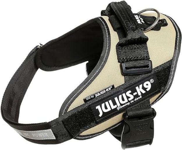 Kép Julius-K9 IDC Powerhám 3/2XL - Bézs