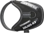 Kép Julius-K9® IDC® Powerhám Baby1/3XS - 1 pár Egyedi felirattal