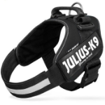 Kép Julius-K9® IDC® Powerhám 2/XL - 1 pár Egyedi felirattal