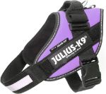 Kép Julius-K9® IDC® Powerhám 3/2XL - 1 pár Egyedi felirattal