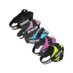 Kép Julius-K9® IDC® Powerhám 4/3XL - 1 pár Egyedi felirattal