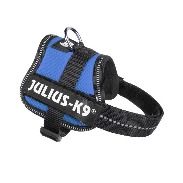 Kép Julius-K9® K-9® Powerhám  Baby1/3XS - 1 pár Egyedi felirattal