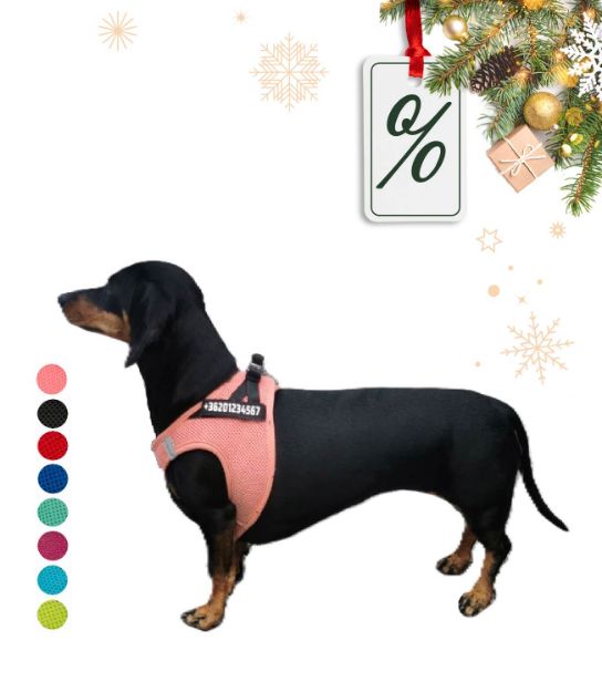 Kép P24S® SMART kutyahám