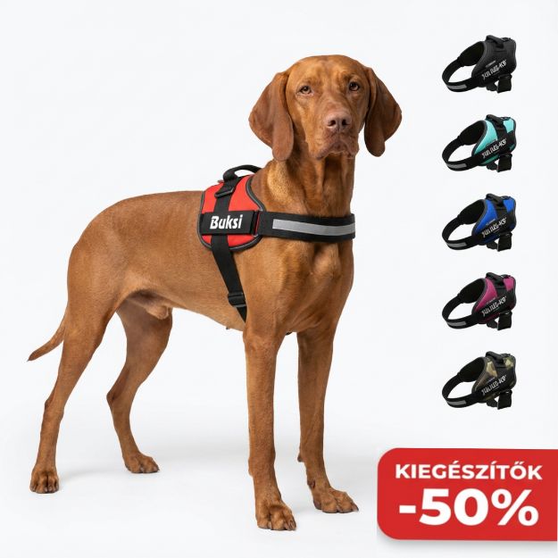 Kép Julius-K9® IDC® Powerhám