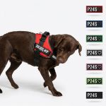 Kép P24S® Kívánságlogó Kutyahámra