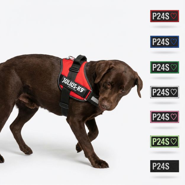 Kép P24S® Kívánságlogó Kutyahámra