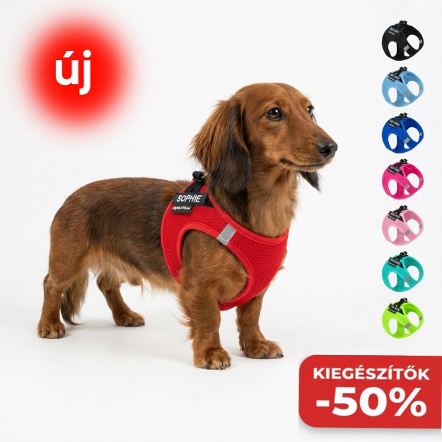 Kép P24S® SMART kutyahám