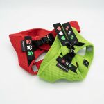 Kép Kutyahám kokárda