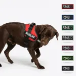 Kutyaham kivansaglogo