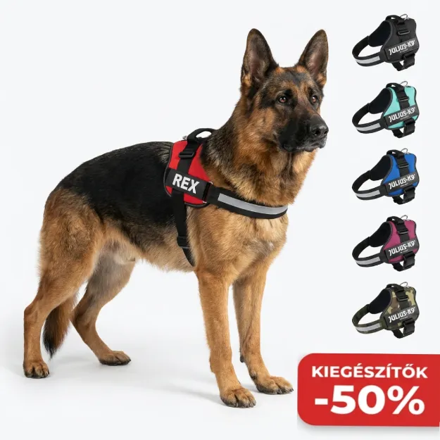 K9 Powerham